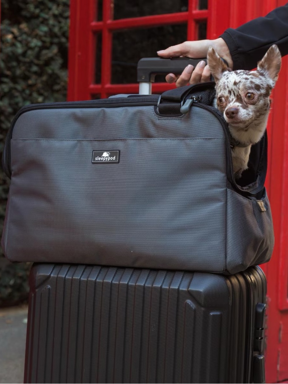 Sleepypod Atom dog or cat carrier NWT